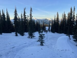 NW ridge/forest near treeline.