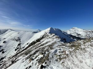 Looking back at traverse along Mt Aix trail.